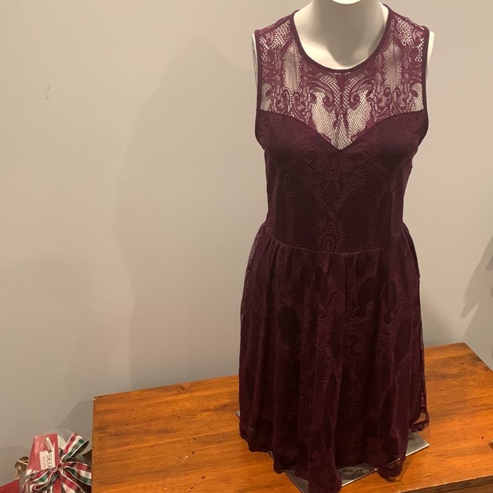 NWT Express Lace Skater Dress, Dark Berry, M